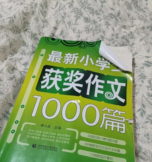 一步一步走向梦想的道路（故事与勇气）