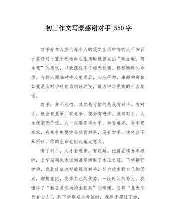 感恩对手（同路人相伴）
