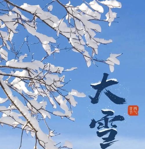雪落人间，美不胜收（迎接2024年大雪）
