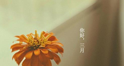 承载时光的故事——2024年二月，你好朋友圈说说（写在这个瞬间的心情）