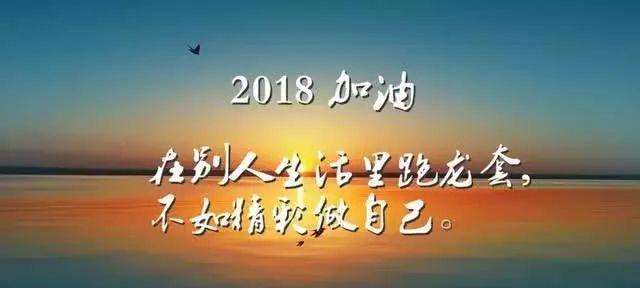 《向阳而生》（用正能量青春奋斗励志语录激发生命的活力）