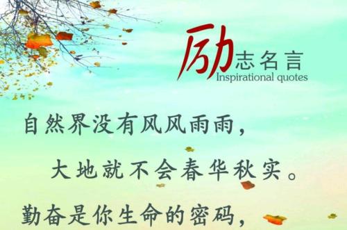 正能量传递：唯美短句篇