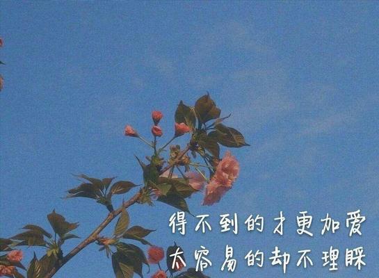 唯美千语，致富之道（25个经典短句）