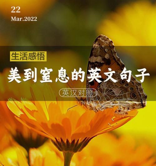 细致观察，感受美丽（细致观察）