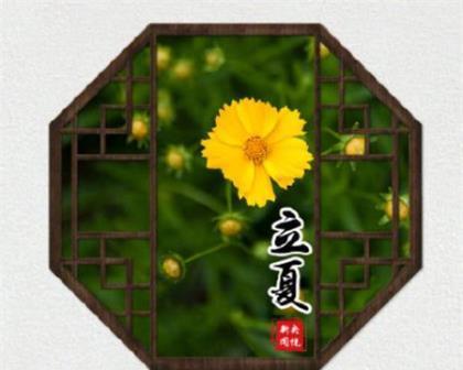 走近2024年的立夏（用唯美短句感受四季循环）