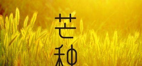 用唯美短句为你送上节气祝福（用唯美短句为你送上节气祝福）