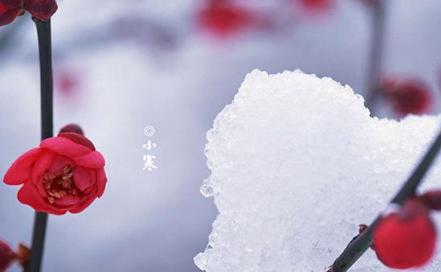 小寒暖心祝福语——让微信充满温暖的力量