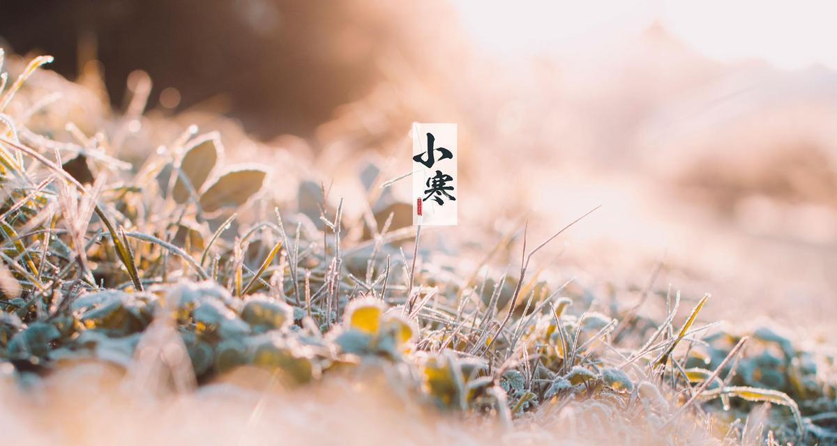 小寒，寒冬中的温暖（一句话祝福）