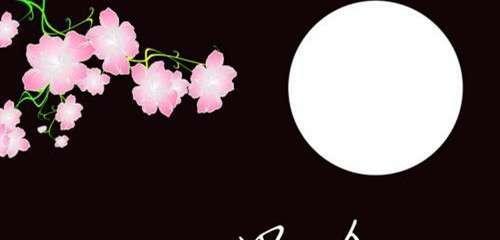 《思念轻轻飘散，唯美悠然》