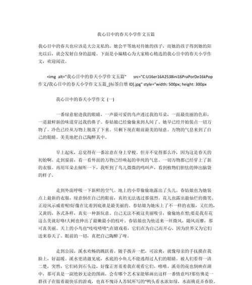 爱与关怀的力量（爱与关怀的力量）