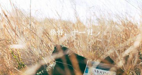 十月，唯美的深情（秋意渐浓）