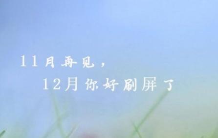 岁月静好，感悟人生（十一月最后一天）