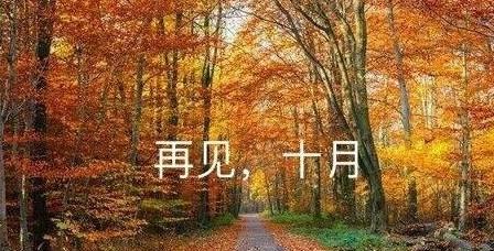 十一月的瑰丽之色（寻找季节里的美好）