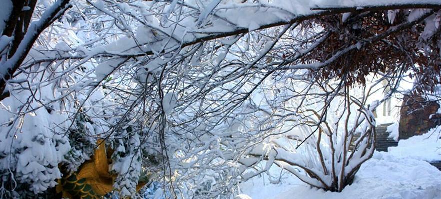 冬日·飘雪（当鹅毛大雪飘落时……）