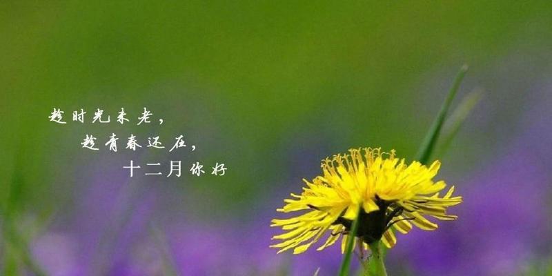 迎接12月，呼吸清新的冬日气息（以唯美的短句）