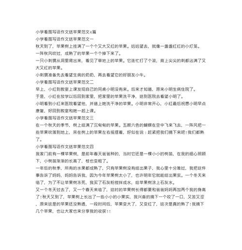 苹果的秘密（一个人的寻找）