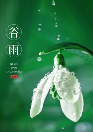 《85条经典句子，温暖心灵的人生寓言》（以谷雨朋友圈经典句子为灵感）