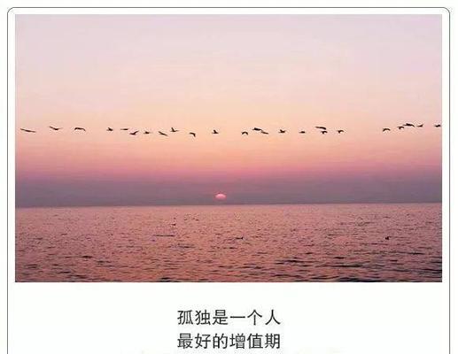 孤独如影，冷暖自知（25个唯美句子）