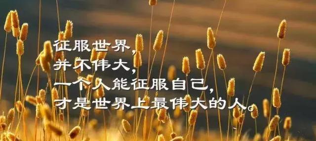 《献身工作，传递正能量》