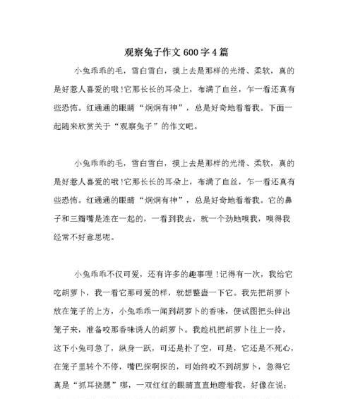 阳光女孩（以善为本）