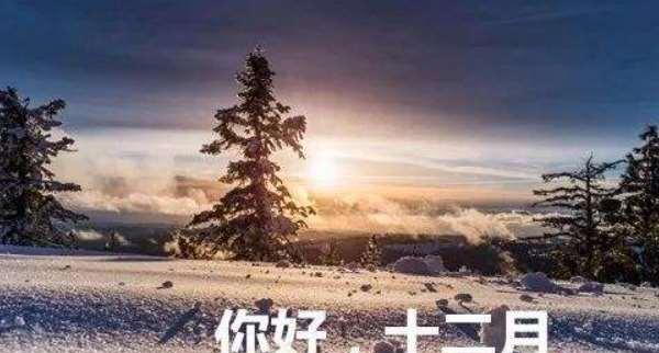迎接新年，感恩过去，展望未来（迎接新年）