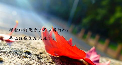 唯美伤感短句集锦（唯美伤感短句集锦）