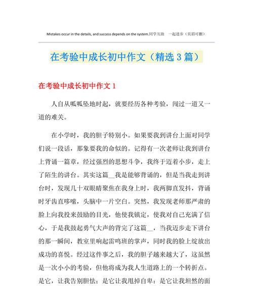在转折点上重生（一个叛逆少年的成长之路）