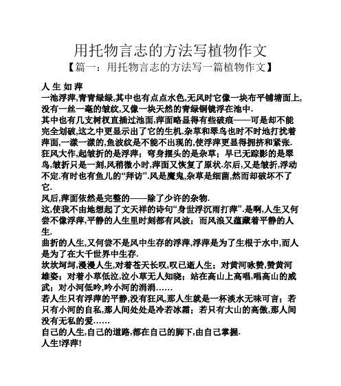 超越自我——人生之赛（同赛道、异道路）