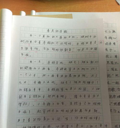 小宝的坚持（勇气与希望的力量）