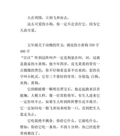 我的小狗（陪伴我的童年）