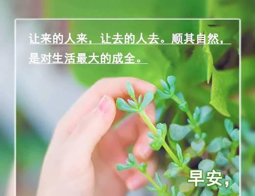 最经典的早安问候语有哪些？它们如何开启美好一天？