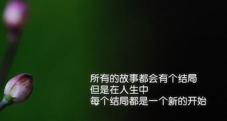 自己的唯美句子有哪些？它们如何表达自我？