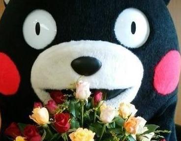 人老心不老搞笑句子有哪些？有哪些幽默的人老心不老语录？