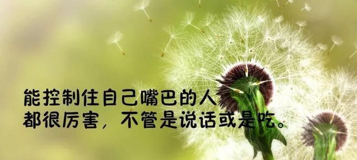 人生的优美经典句子有哪些？它们如何激励我们前行？