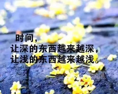 人生感悟哲理好句有哪些？它们对人生有何启示？
