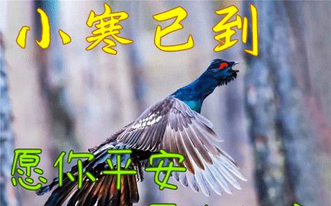 2024新年小寒时节祝福语怎么说？小寒时节如何表达祝福？