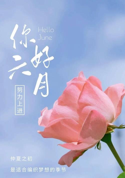 六月你好的正能量句子怎么说？六月如何表达积极心态？
