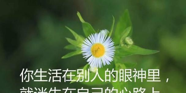 人生不易的唯美句子有哪些？它们如何表达对人生的感悟？