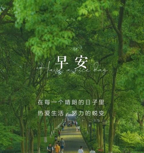 温柔的早安句子怎么说？它们如何传递对生活的热爱？