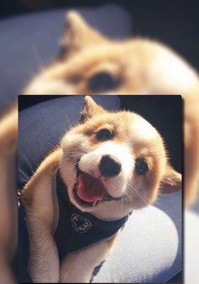 睹物思人有哪些故事？怎样表达对故人的思念？