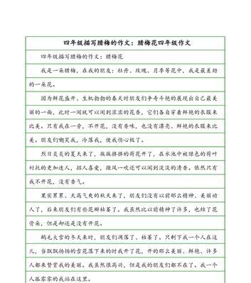 外婆那美丽的花伞背后的故事是什么？如何制作一把类似的花伞？