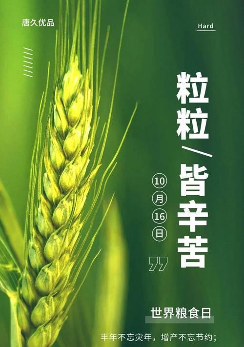 世界粮食日纪念日口号押韵怎么创作？押韵口号有哪些特点？