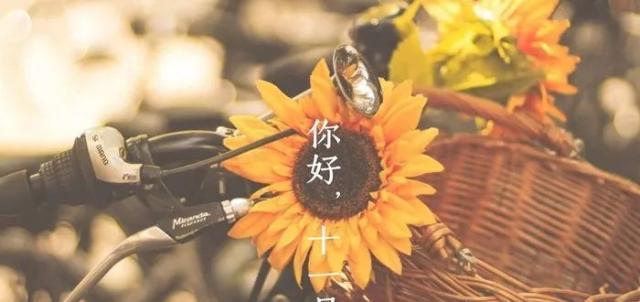 十月再见说说心情短语怎么写？有哪些热门模板推荐？