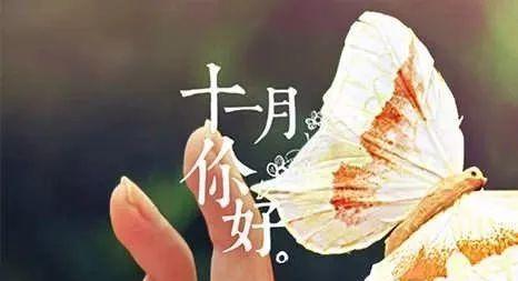 十月再见十一月你好说说？如何用一句话表达季节的更迭？