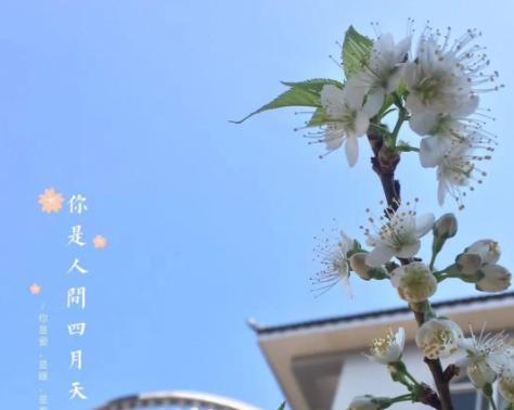 十月请对我好一点的句子说说？如何用温馨话语迎接金秋？