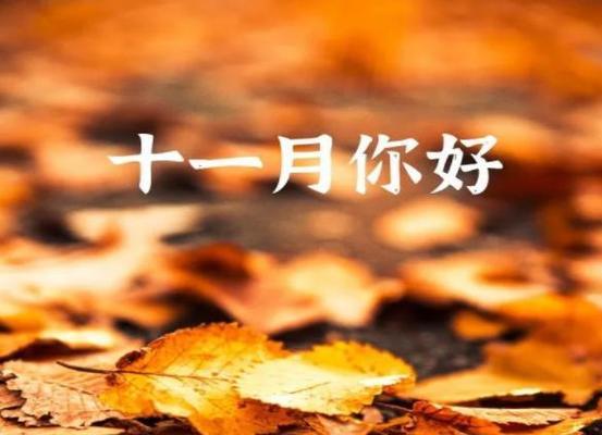 十一月最后一天的朋友圈怎么发？有哪些创意文案推荐？