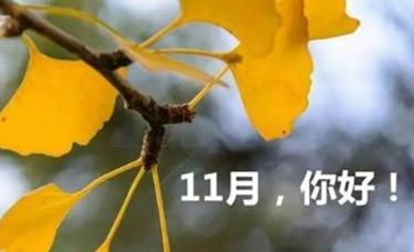 十一月你好唯美句子心情说说？如何用文字表达初冬的温暖？