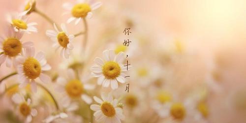 十一月你好说说唯美短语有哪些？如何用短语表达对十一月的欢迎？