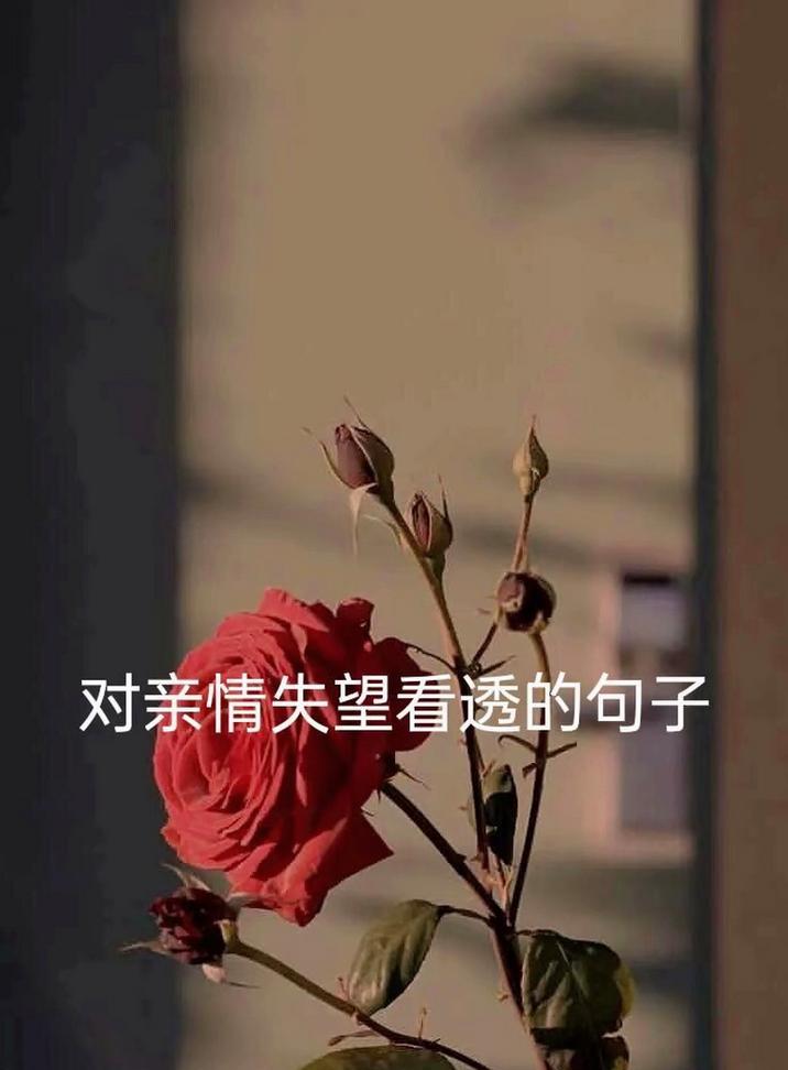 失望的句子语录有哪些？如何赏析其中的深意？