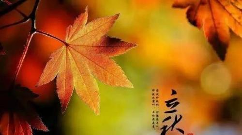 立秋时节饮食有哪些禁忌？如何健康度过秋季？